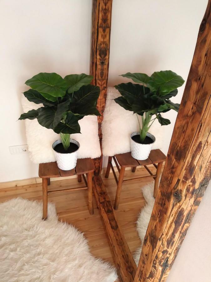 Cernesa Apartment